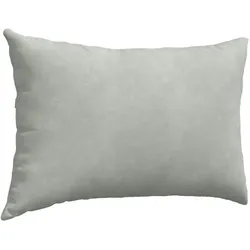 vidaXL, Dekokissen, Sofakissen 2 Pcs 50 X 30 Cm Cordstoff Hellgrau (60 x 40 cm)