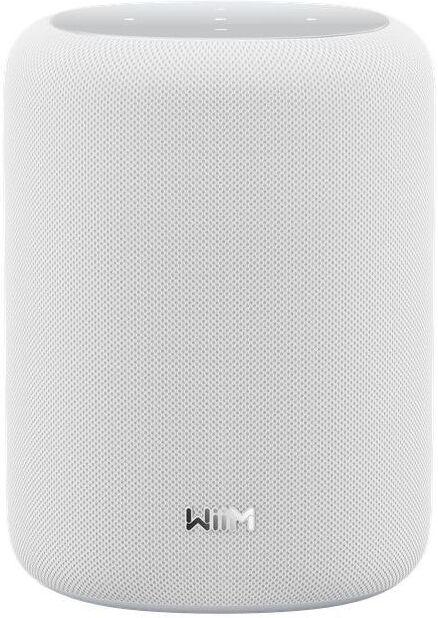 WiiM Sound Lite Svart