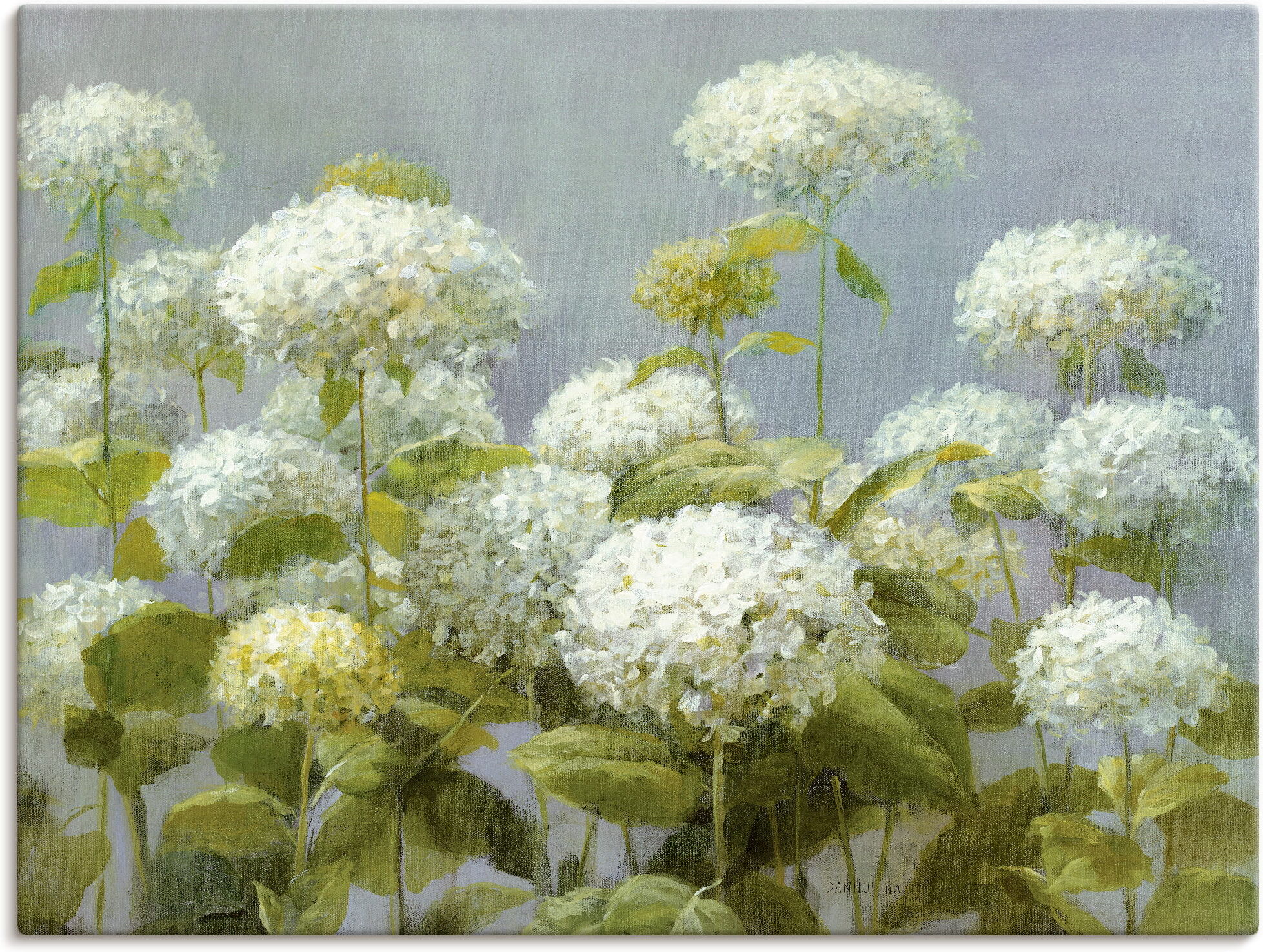 Wandbild ARTLAND "Weisser Hortensien Garten", weiss (farbe bild(er): weiß), B:60cm H:45cm, Bilder, Wandbild, als Leinwandbild, Poster in verschied. Grössen farbe bild(er): weiß B/H/T: 60cm x 45cm, Leinwandbild Blumen Querformat, 1 Stk.