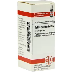 Bellis Perennis D 6 10 G