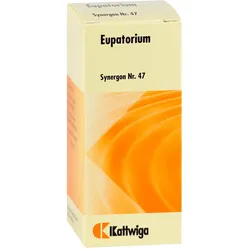 SYNERGON KOMPLEX 47 Eupatorium Tropfen