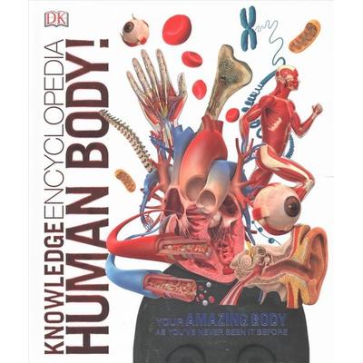Knowledge Encyclopedia Human Body!, Gebundene Ausgabe von DK, Dorling Kindersley, 978-0-241-28685-2