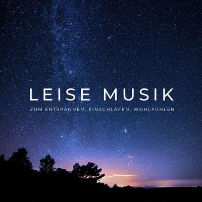 Leise Musik zum Entspannen, Einschlafen, Wohlfühlen - Leise Musik zum Entspannen, Audio, 4066339460461