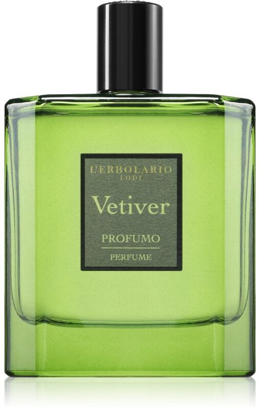 L'ERBOLARIO Vetiver Eau de Toilette pour homme 100 ml