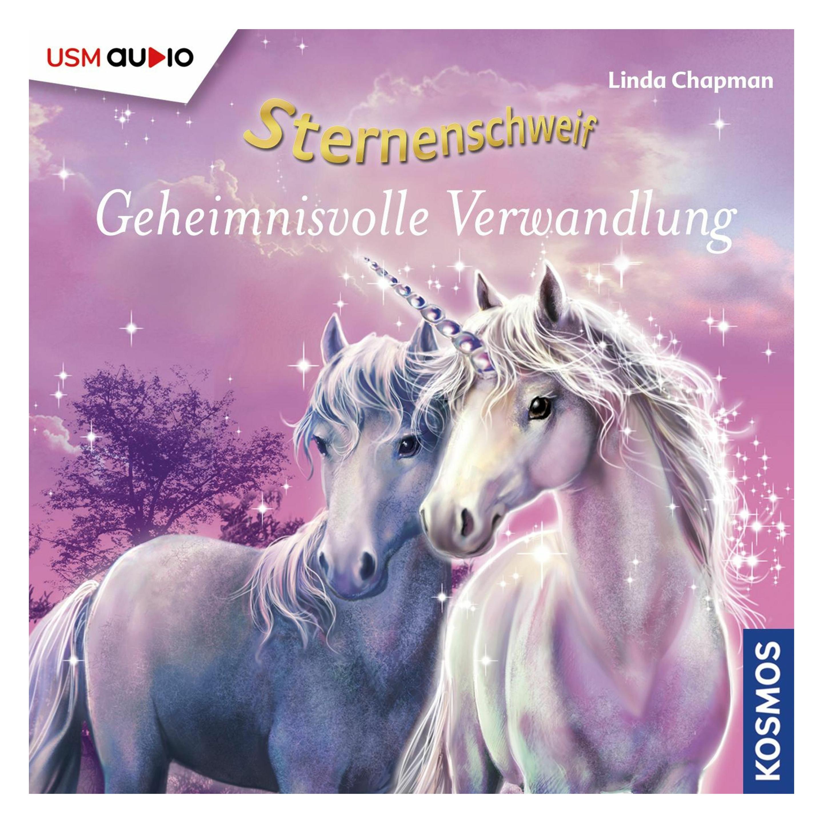 Rough Trade Geheimnisvolle Verwandlung (Linda Chapman, Deutsch) (8032-3600-5)