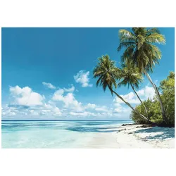 FOTOTAPETE 3D Effekt Strand Meer Palmen Hawaii 300x210