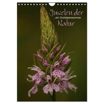 Juwelen der Natur - Ein Orchideensommer (Wandkalender 2027 DIN A4 hoch), CALVENDO Monatskalender