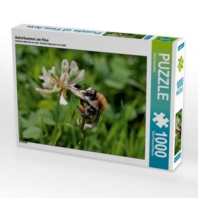 CALVENDO Puzzle Ackerhummel am Klee | 1000 Teile Lege-Größe 64x48cm Foto-Puzzle für glückliche Stunden
