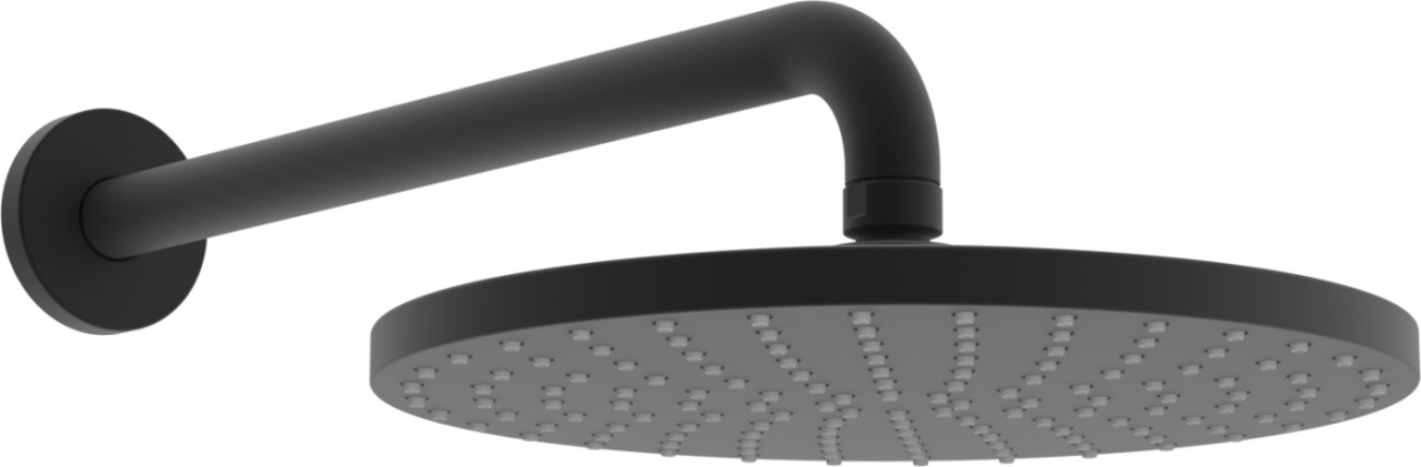 Hansa Kopfbrause, d 250 mm HANSAVIVA 4426, Matt-Schwarz, 4426020033 4426020033