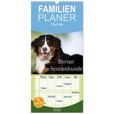 Familienplaner 2026 - Berner Sennenhunde mit 5 Spalten (Wandkalender, 21 x 45 cm) CALVENDO