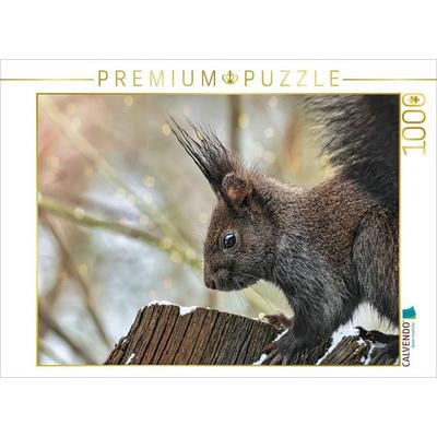 CALVENDO Puzzle Braunes Eichhörnchen | 1000 Teile Lege-Größe 64x48cm Foto-Puzzle für glückliche Stunden, von , Calvendo Puzzle