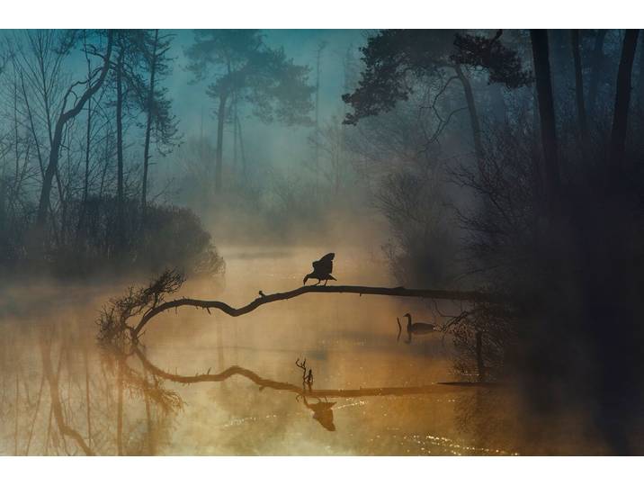 Fototapete PAPERMOON Photo-Art ANTON VAN DONGEN, BLAUE STUNDE , bunt, B:2m L:1,49m, Vlies, Tapeten, Fototapete