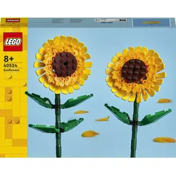 Sonnenblumen