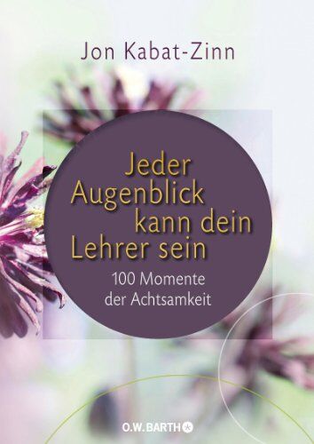 Jon Kabat-Zinn - Jeder Augenblick kann dein Lehrer sein: 100 Momente der Achtsamkeit - Preis vom 17.10.2026 19:25:27 h