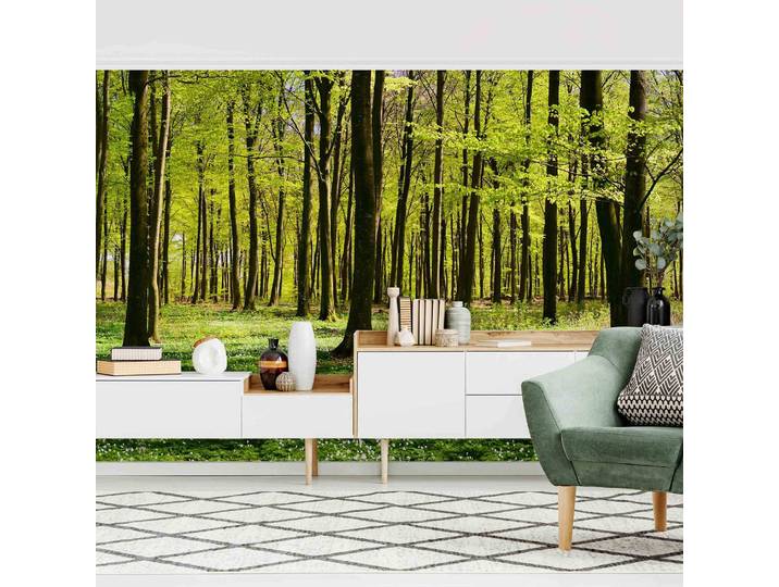 Vliestapete Waldwiese 384 x 255cm 384 x 255 cm