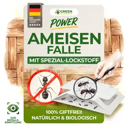 Green Guardia Ameisen Falle mit Pheromon-Lockstoff: 1