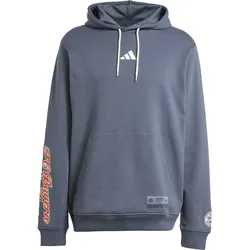adidas FC Bayern München Hoodie Herren | Gr. M | grau - grau