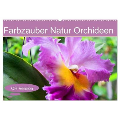 Farbzauber Natur Orchideen - CH Version (Wandkalender 2026 DIN A2 quer), CALVENDO Monatskalender