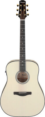 Ibanez AAD371E-ATW Natur Hochglanz