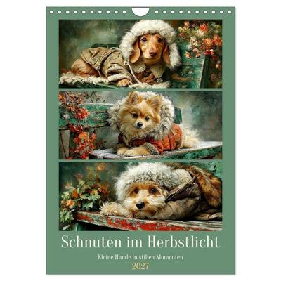 Schnuten im Herbstlicht. Kleine Hunde in stillen Momenten (Wandkalender 2027 DIN A4 hoch), CALVENDO Monatskalender