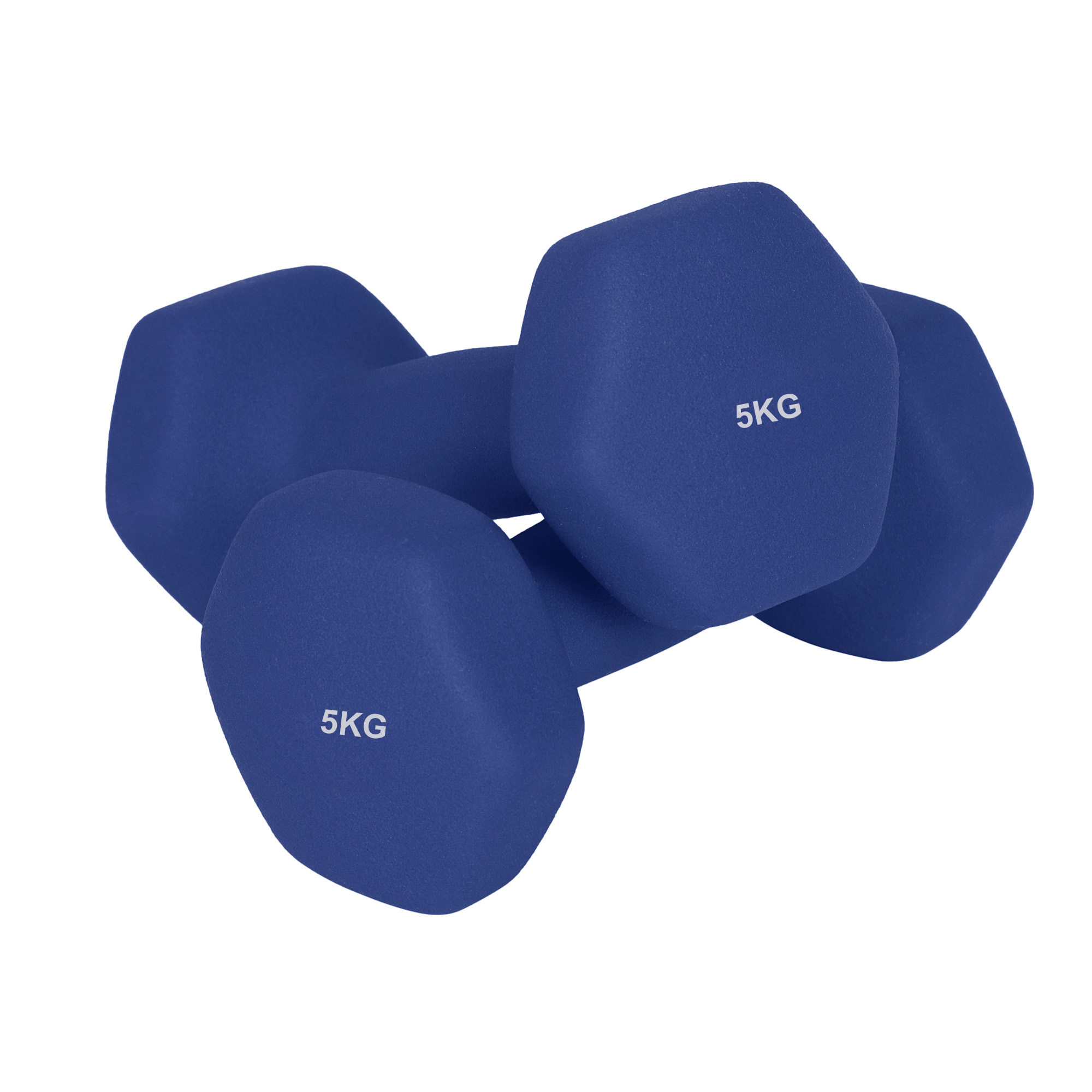 SONGMICS Hanteln, 2er Set, 2 x 5 kg SYLB35910Q01