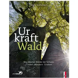 Urkraft Wald, Sachbücher