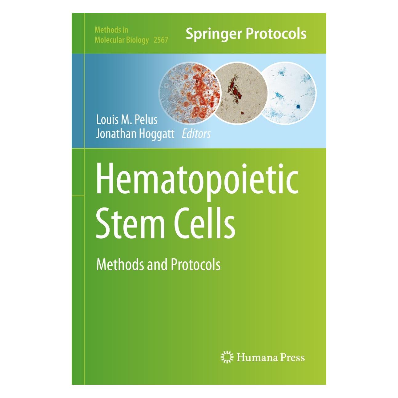 Springer Hematopoietic Stem Cells (Englisch, Hardcover, Jonathan Hoggatt, Louis M. Pelus) (9781071626788)