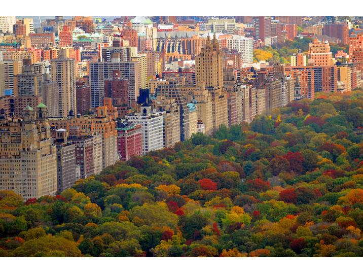 Fototapete PAPERMOON Central Park , bunt, B:4m L:2,6m, Vlies, Tapeten, Fototapete
