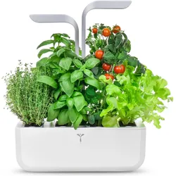 Véritable, Blumentopf, Smart (18.50 x 18.50 x 45 cm)