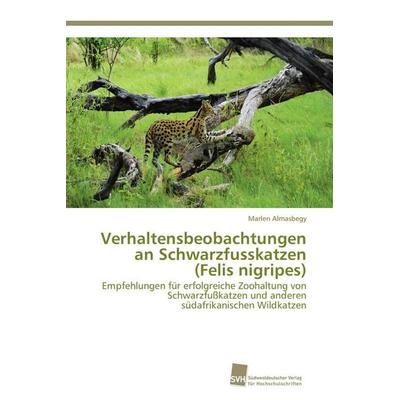 Verhaltensbeobachtungen an Schwarzfusskatzen (Felis nigripes), Taschenbuch von Marlen Almasbegy, Südwestdeutscher Verlag für Hochschulschriften,