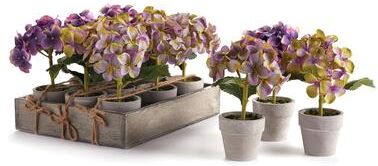 Porch & Petal "Mini Hydrangea Potted 6.5"", Set Of 12 - Green"