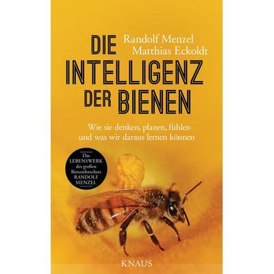 Die Intelligenz der Bienen, Gebundene Ausgabe von Randolf Menzel,Matthias Eckoldt, Knaus, 978-3-8135-0665-5