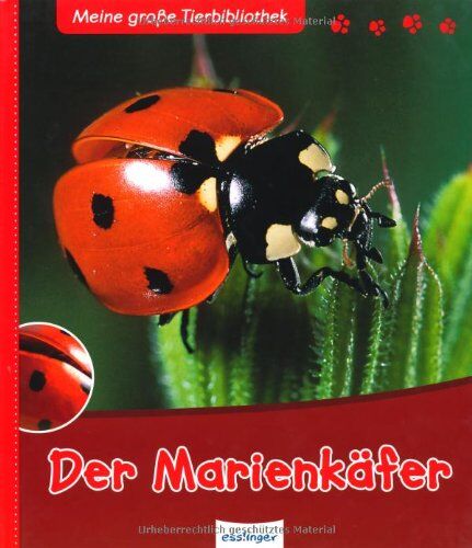 Valérie Tracqui - Der Marienkäfer - Preis vom 05.10.2026 03:47:11 h