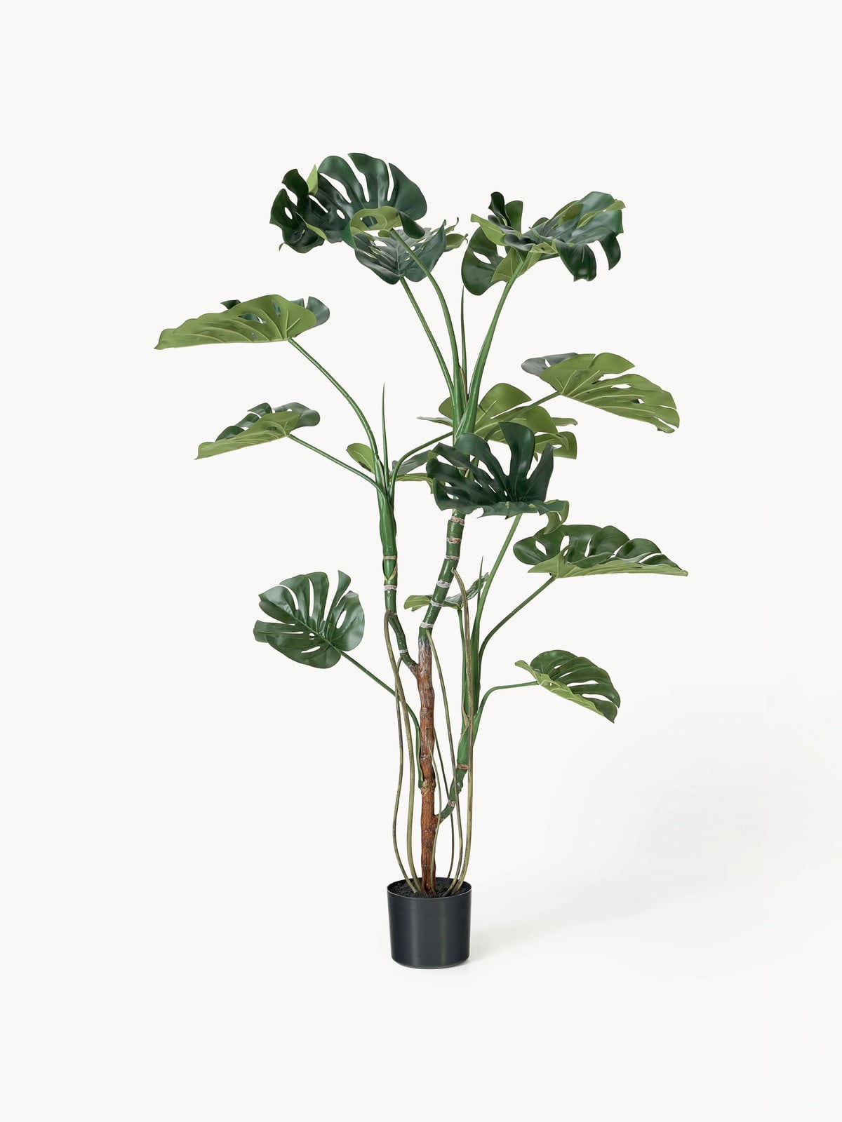 Botané Kunstplant Monstera Groen