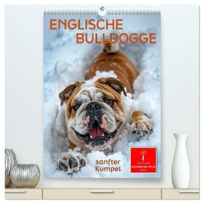 Englische Bulldogge - sanfter Kumpel (hochwertiger Premium Wandkalender 2027 DIN A2 hoch), Kunstdruck in Hochglanz