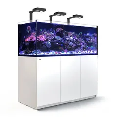 Red Sea REEFER Deluxe XXL 625 Complete Meerwasser-Aquarium mit Unterschrank weiß