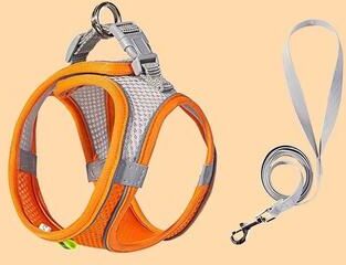 Discount Dollar Deals Adjustable Puppy Harness Set, Dog Accessories, French Bulldog, Chihuahua, Pet Leash, Dog Collar, Cat Harness Vest orange m