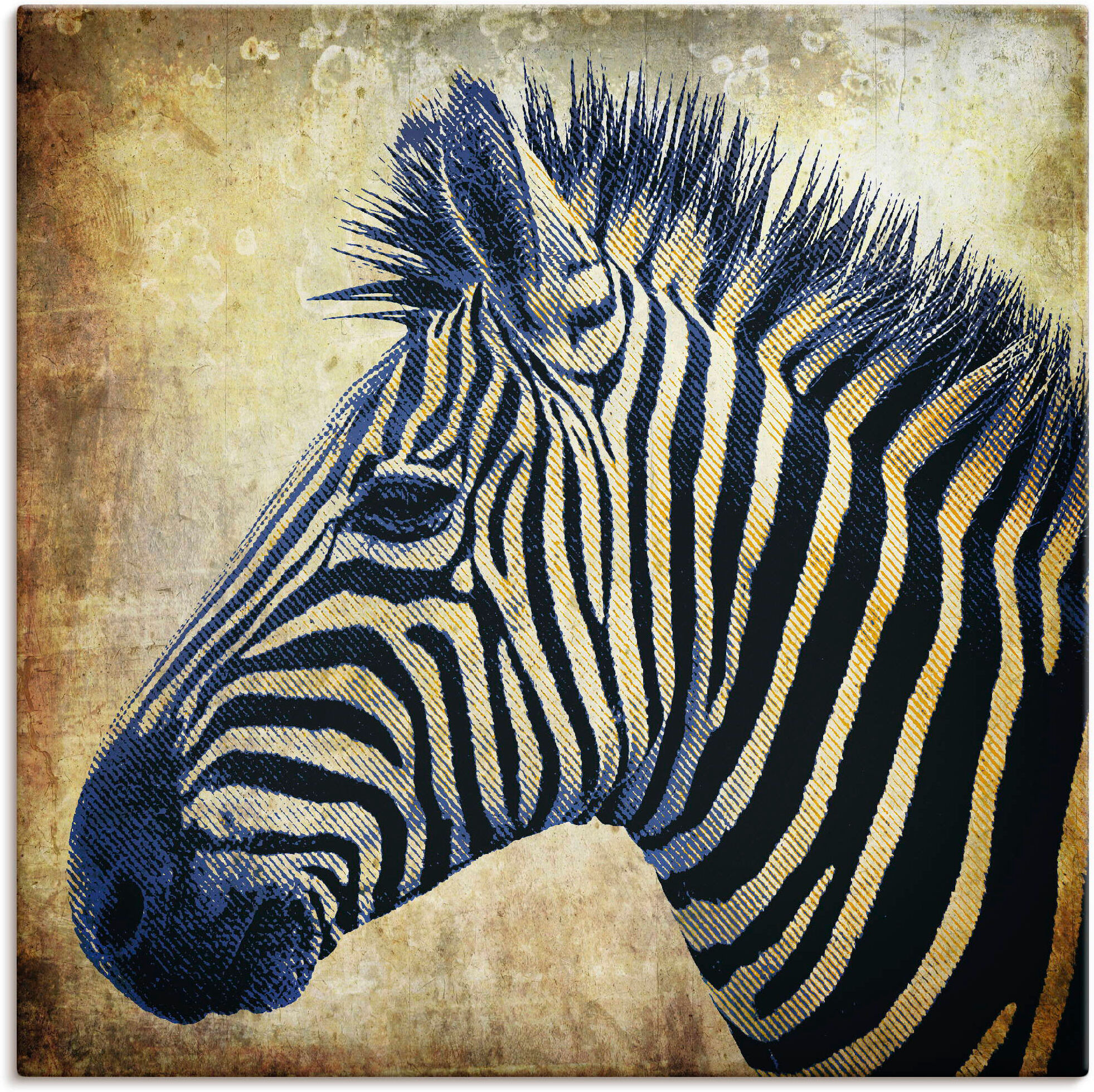 Leinwandbild ARTLAND "Zebra Porträt PopArt", braun (farbe bild(er): braun), B:70cm H:70cm, Bilder, Leinwandbild, auf Holzrahmen gespannt farbe bild(er): braun B/H/T: 70cm x 70cm, Leinwandbild Wildtiere, 1 Stk.