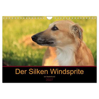 Der Silken Windsprite - ein Seelenhund (Wandkalender 2027 DIN A4 quer), CALVENDO Monatskalender
