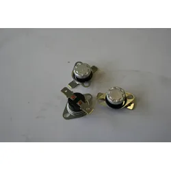 ELMAG Thermostat 100° 10A - 9505284