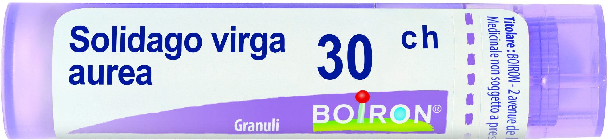 Boiron Solidago Virga Aurea 30Ch Granuli