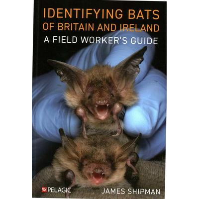 Identifying Bats of Britain and Ireland, Taschenbuch von James Shipman, Pelagic Publishing, 978-1-78427-492-4