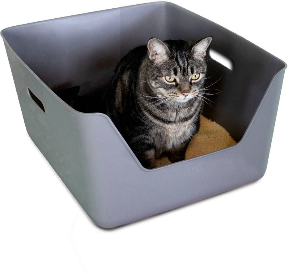 Cansei De Ser Gato CDSG Lettiera Toilette per Gatti Grigia