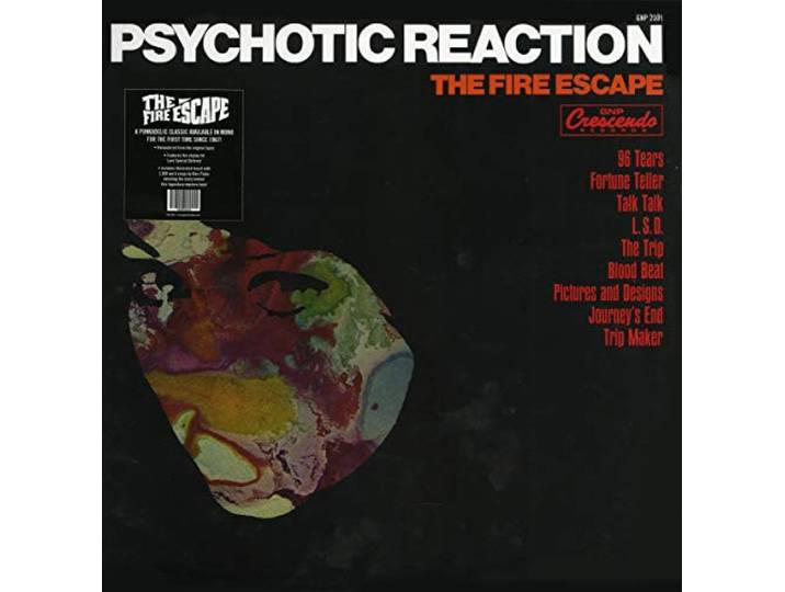 Psychotic Reaction