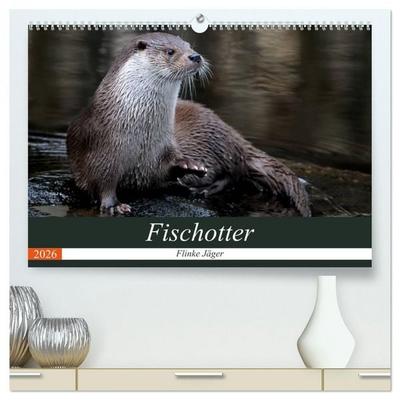 Fischotter, flinke Jäger (hochwertiger Premium Wandkalender 2026 DIN A2 quer), Kunstdruck in Hochglanz