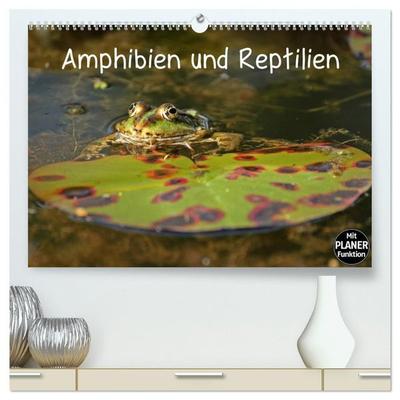 Amphibien und Reptilien (hochwertiger Premium Wandkalender 2027 DIN A2 quer), Kunstdruck in Hochglanz