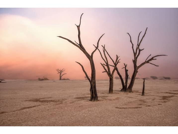 Fototapete PAPERMOON Photo-Art GIUSEPPE DAMICO, NEBEL IN DEADVLEI , bunt, B:3,5m L:2,6m, Vlies, Tapeten, Fototapete