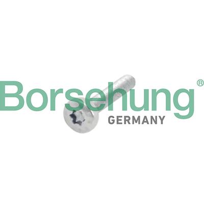 BORSEHUNG Schraube, Zahnrad-Nockenwelle b10634 für VW