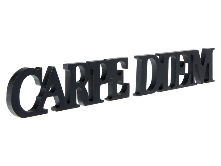 Schriftzug magnetis. Carpe Diem black