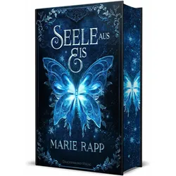 Seele aus Eis - Seelen-Saga 1 - Schmuckausgabe, Jugendbücher von Marie Rapp